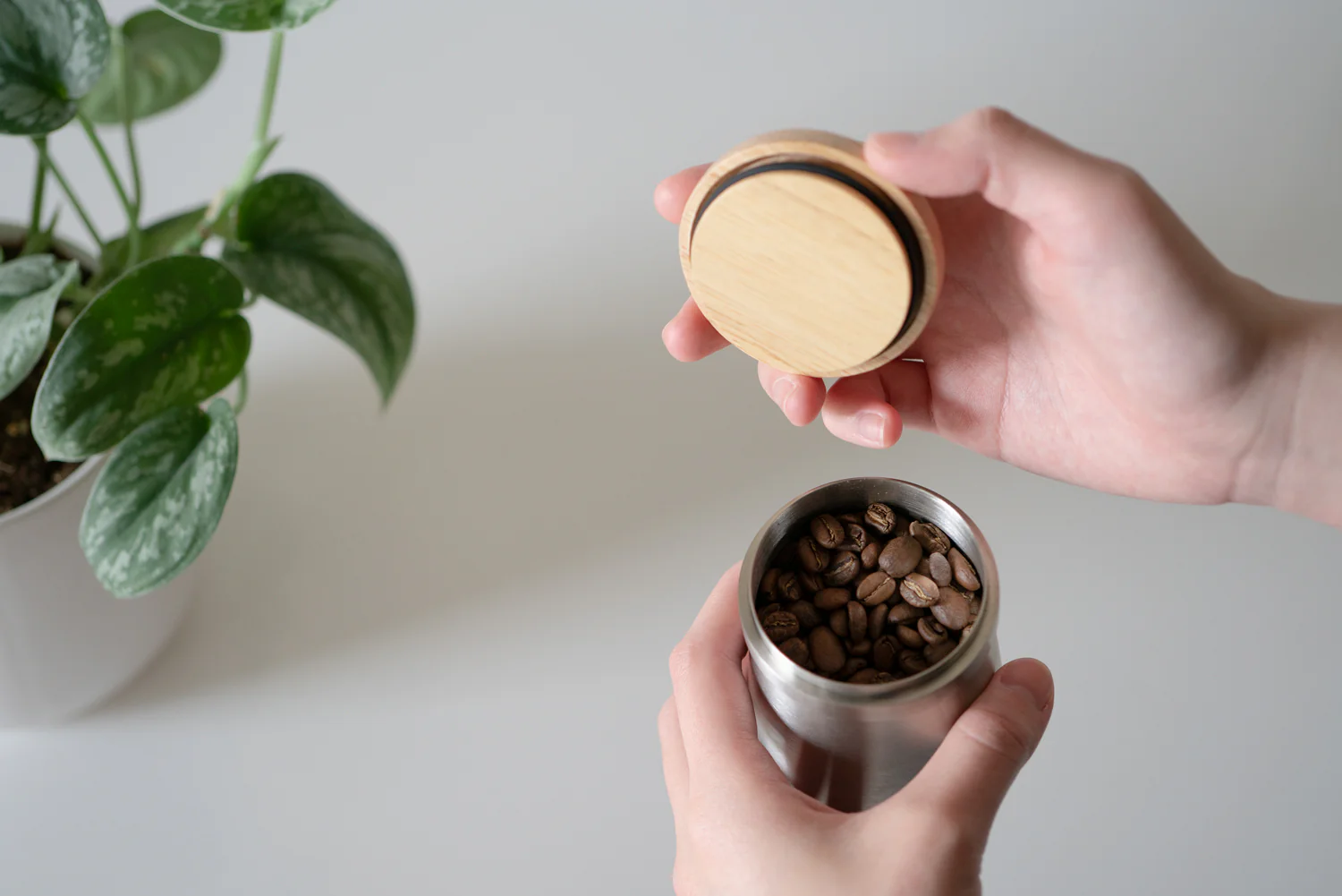 Portafilter Dosing Cup & Storage Lid Medium - Image 6