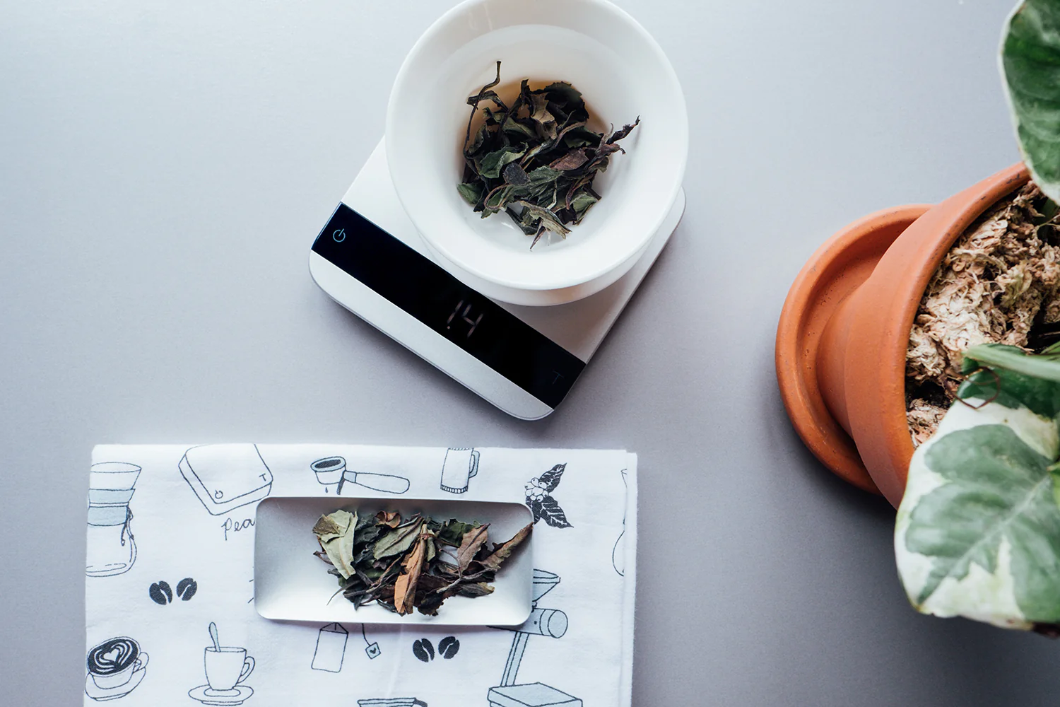 Tea Scoops - Image 5